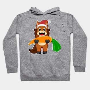 Horse Christmas Carrot Hoodie